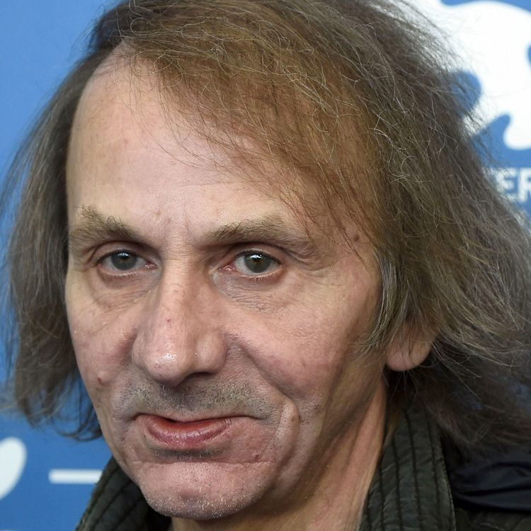 cover art for 293. Aron Flam & Jenny Högström om Houellebecq