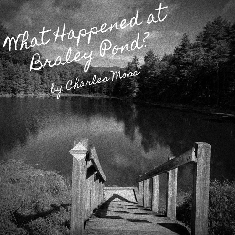 cover art for What Happened at Braley Pond Trailer