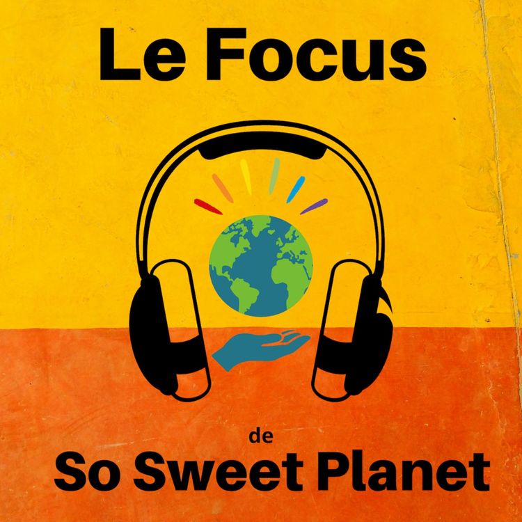 cover art for Stop aux emballages plein de vide : les marques ont répondu ! Et ensuite ?  Une action de foodwatch et Zero Waste France