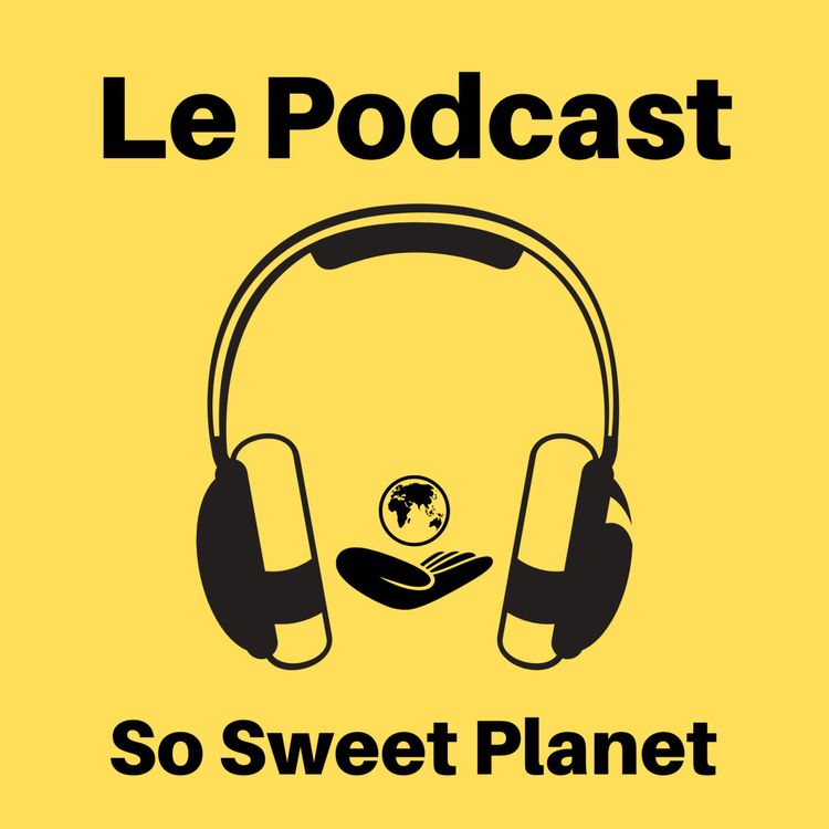 cover art for La Cité Fertile, La REcyclerie et autres tiers-lieux avec Stéphane Vatinel !