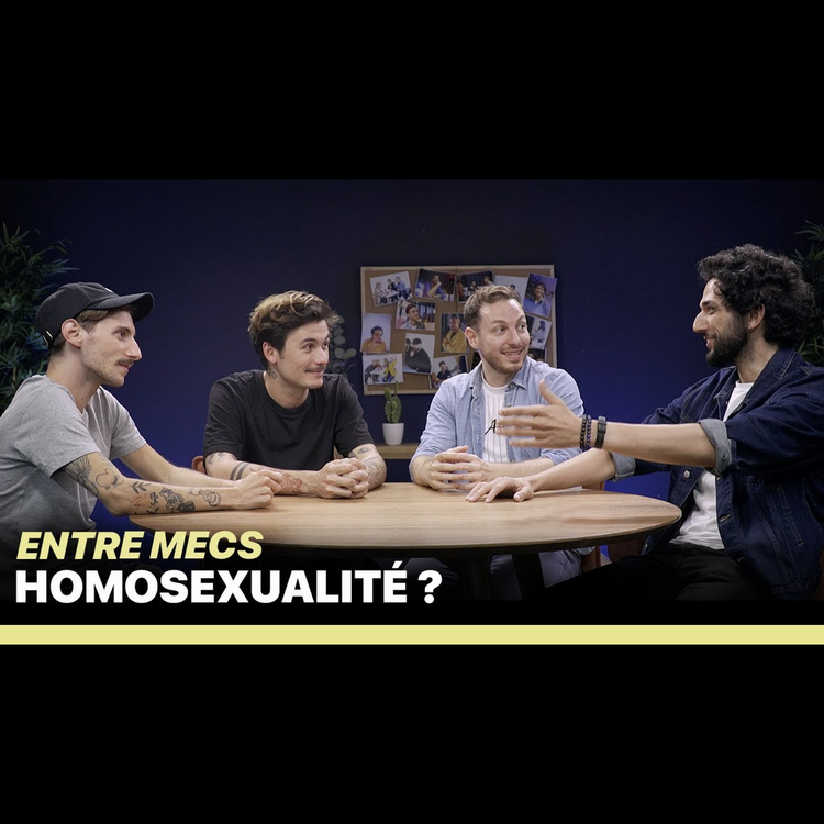 cover art for L'HOMOSEXUALITÉ - ENTRE MECS