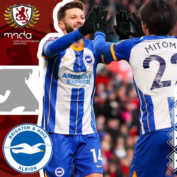 cover art for Flocking Hell