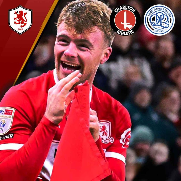 cover art for Boro Playing, Having Fun