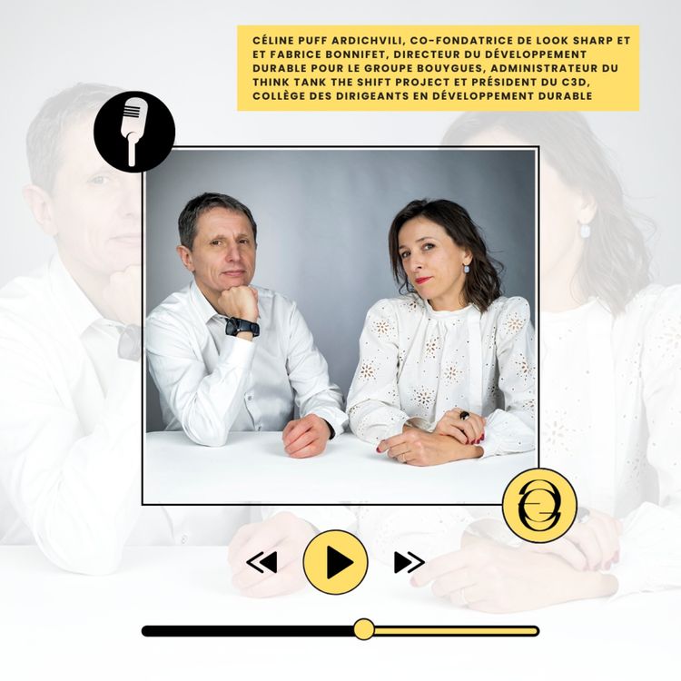 cover art for #EXPERTS L'entreprise contributive - Concilier monde des affaires et limites planétaires