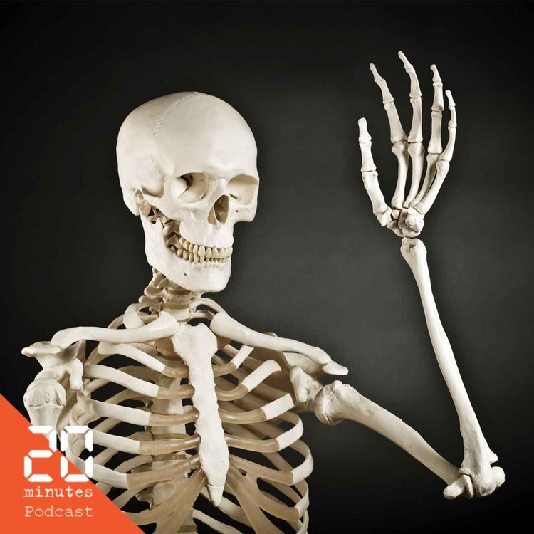 cover art for Homo sapiens prend un coup de vieux !