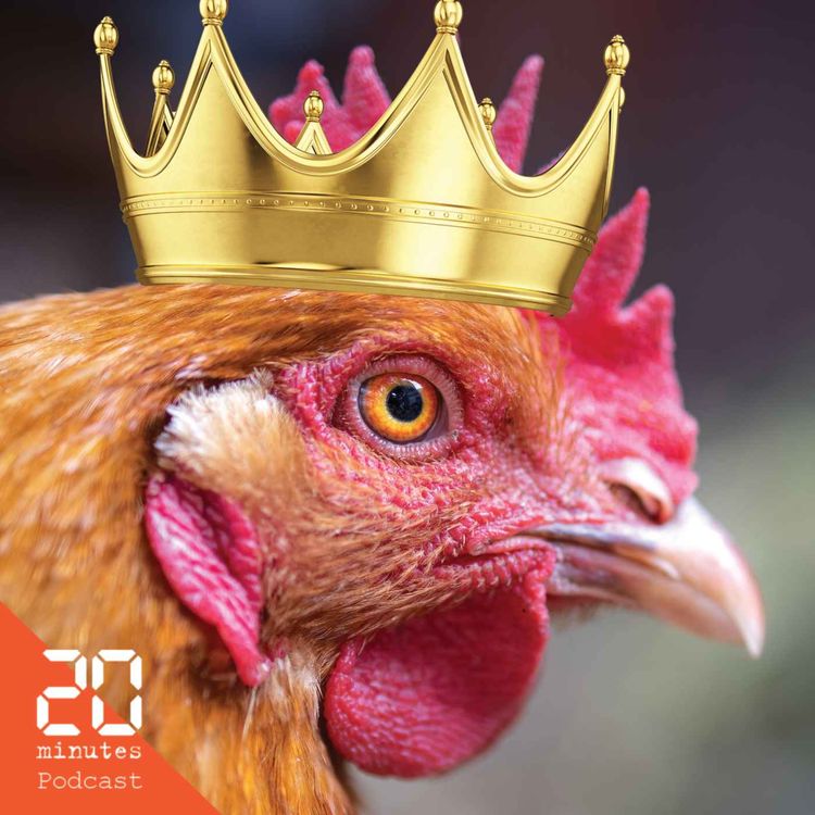 cover art for Comment la poule a conquis le monde