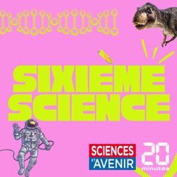 cover art for Sixième Science