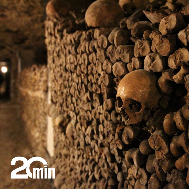 cover art for Les catacombes de Paris font peau neuve, on vous raconte