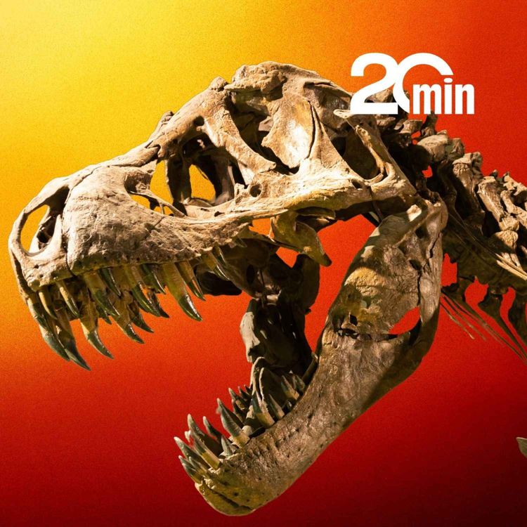 cover art for A la rencontre du T-Rex, le vrai, pas celui des films (et ça fait une sacrée différence)