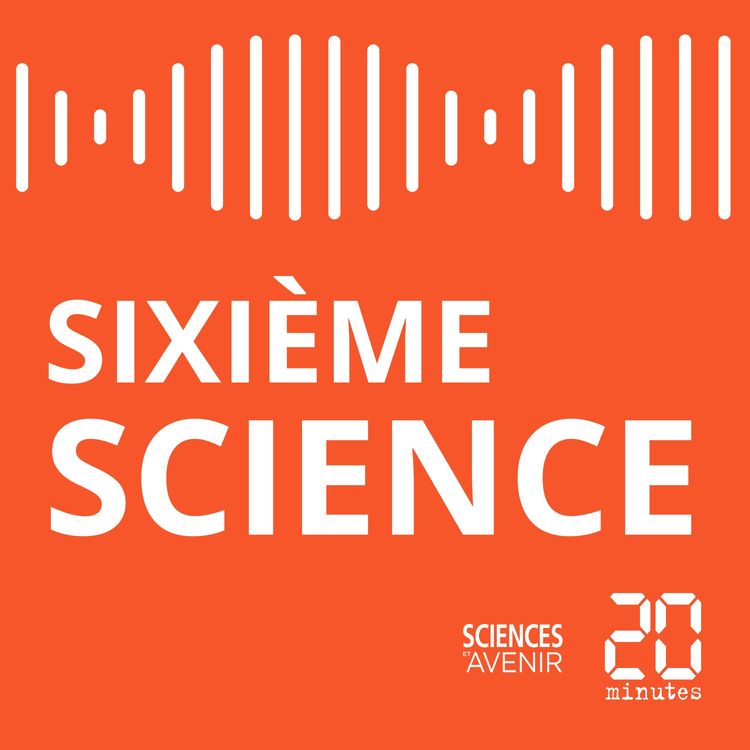 cover art for Sixième Science #08 / Soigner le traumatisme des attentats du 13 novembre 2015