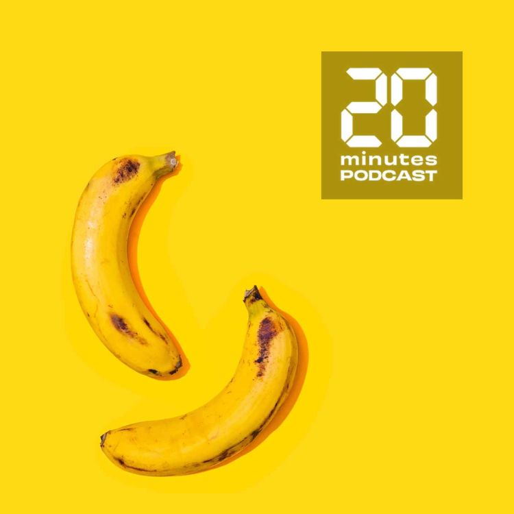 cover art for Pourquoi faire «l'éloge des petites bites»? Octavie Delvaux, autrice