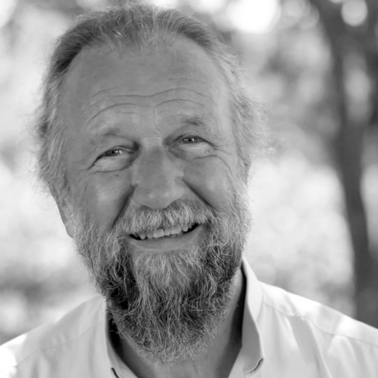 cover art for #228 Jean-Yves Leloup : Fortifier nos racines, déployer nos ailes !