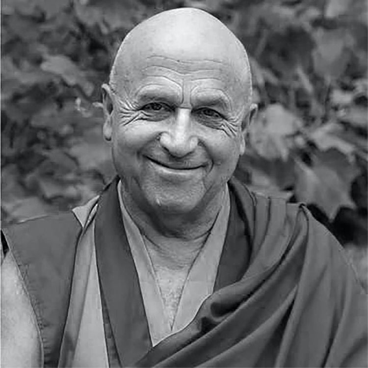 cover art for #249 Matthieu Ricard : L’amour altruiste 
