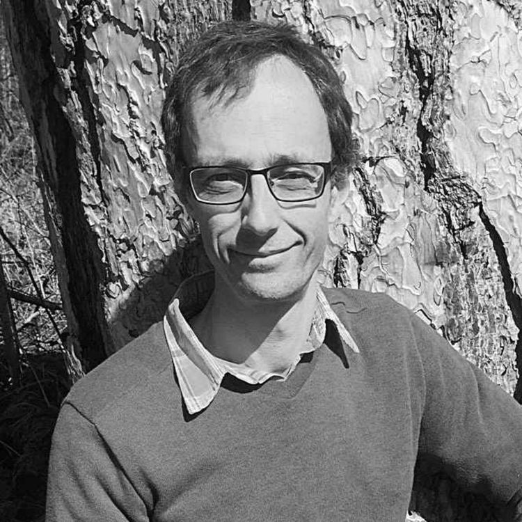 cover art for #306 Jean-Marie Defossez : Ce que les arbres nous enseignent