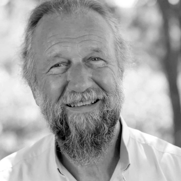 cover art for {REDIFF}  Best-Of - #28 Jean-Yves Leloup : Fortifier nos racines, déployer nos ailes !