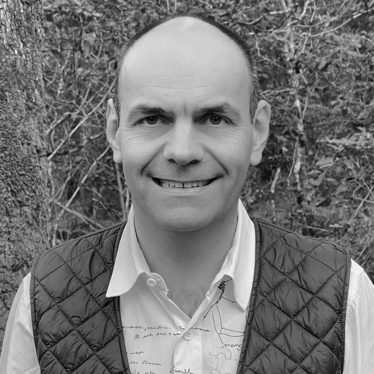 cover art for #335 Emmanuel Ballet de Coquereaumont :  Intégrer son enfant intérieur