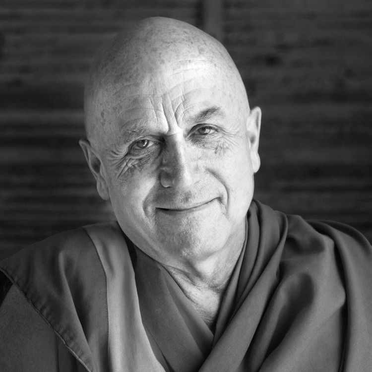 cover art for #431 Matthieu Ricard : La puissance des liens