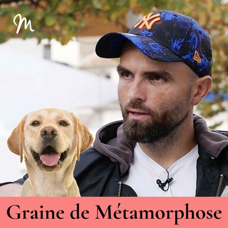 cover art for Eduquer son chien : les meilleurs conseils d’Esprit Dog avec Tony Silvestre #121 [Graine de Métamorphose]