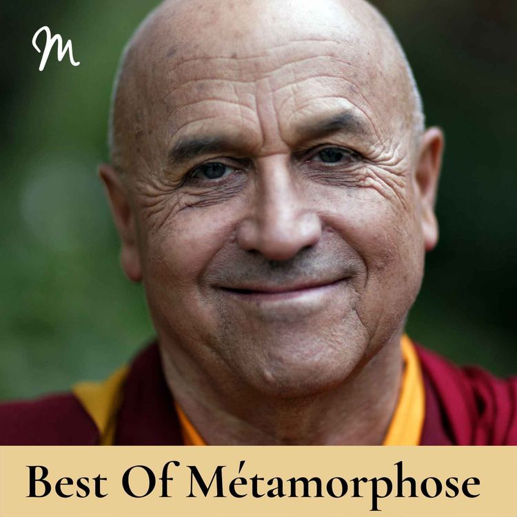 cover art for S'émerveiller, un chemin de vastitude intérieure avec Matthieu Ricard  [rediffusion]