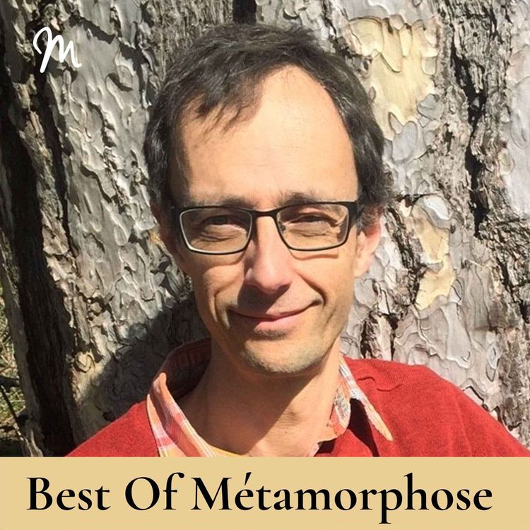 cover art for Ce que les arbres nous enseignent avec Jean-Marie Defossez [rediffusion]