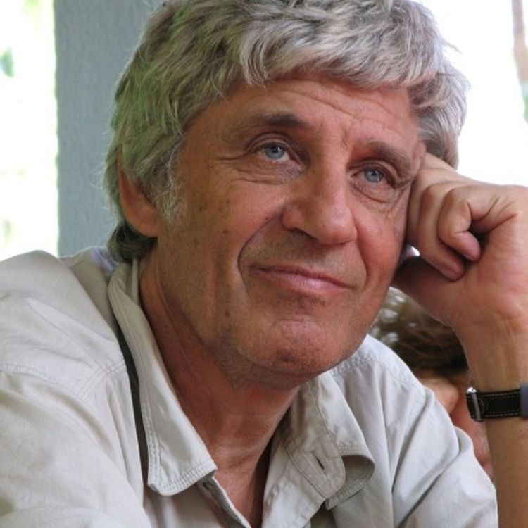 cover art for #7 Méditation - Danis Bois : La posture immobile