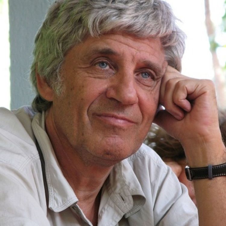 cover art for #28 Danis Bois : la méditation en pleine présence