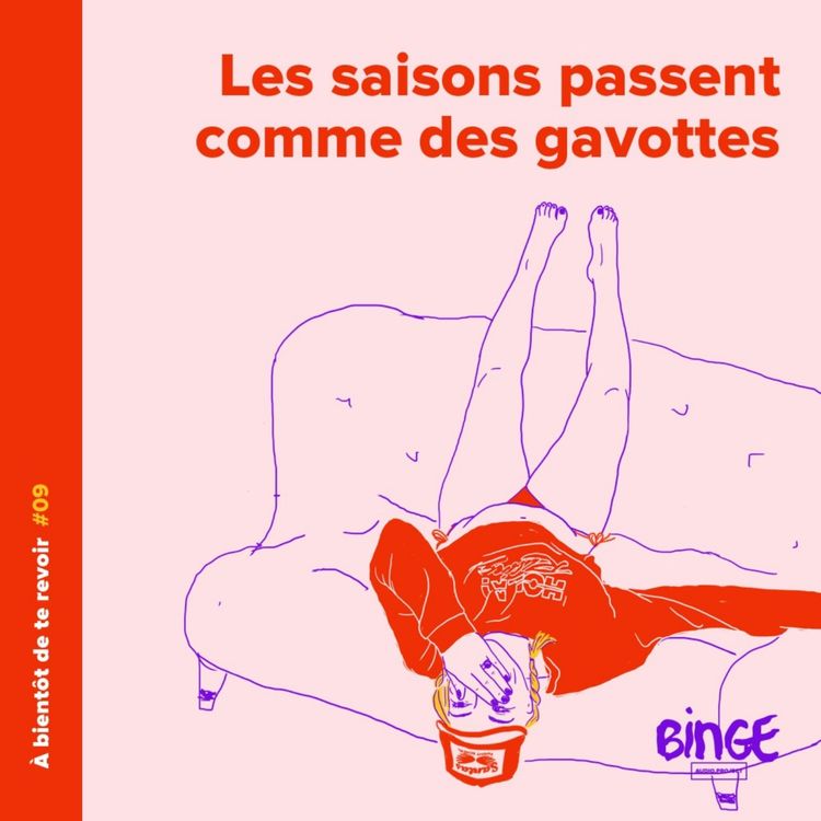 cover art for #09 - Les saisons passent comme des gavottes