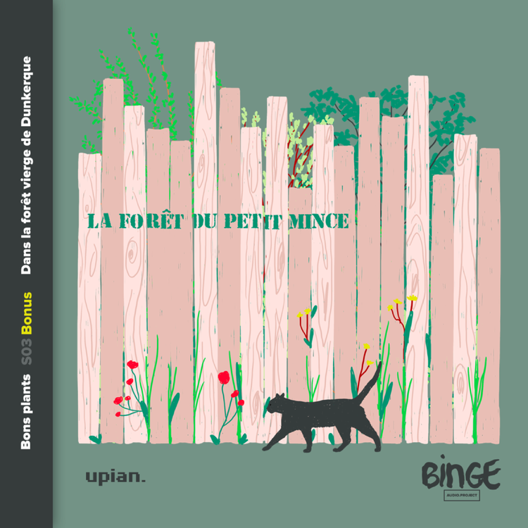 cover art for Bonus | Dans la forêt vierge de Dunkerque