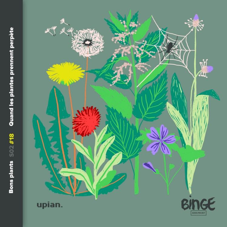 cover art for Quand les plantes prennent perpète