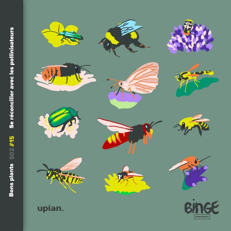 cover art for Se réconcilier avec les pollinisateurs