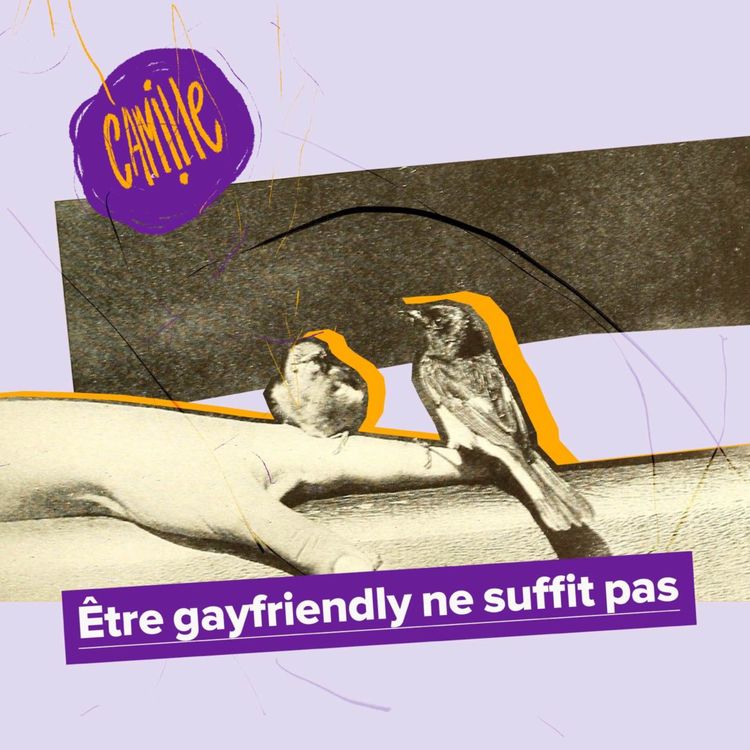 cover art for [REDIFFUSION] Être gayfriendly ne suffit pas