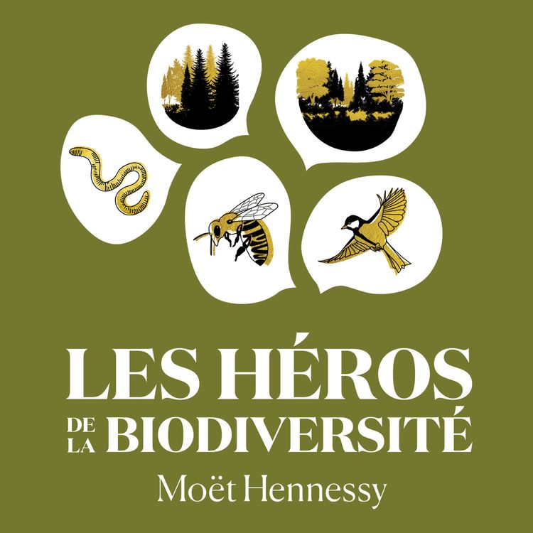 cover art for Les héros de la biodiversité