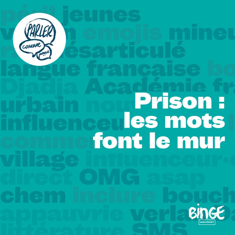 cover art for Prison : les mots font le mur