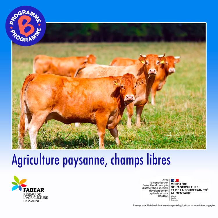 cover art for Agriculture paysanne, champs libres