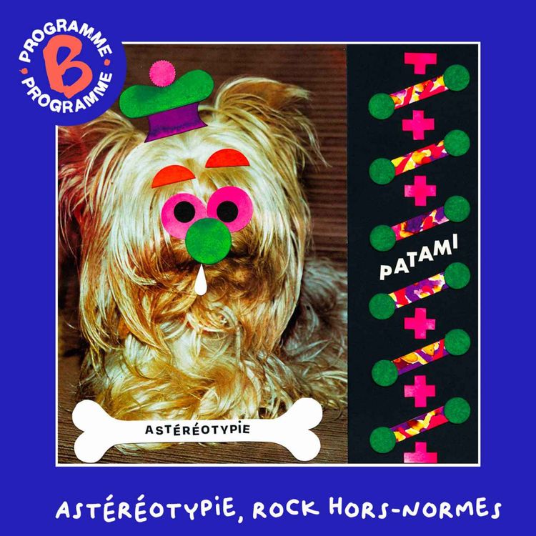 cover art for Astéréotypie, rock hors-normes