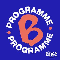 cover art for Programme B