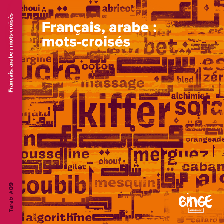 cover art for Français, arabe : mots-croisés