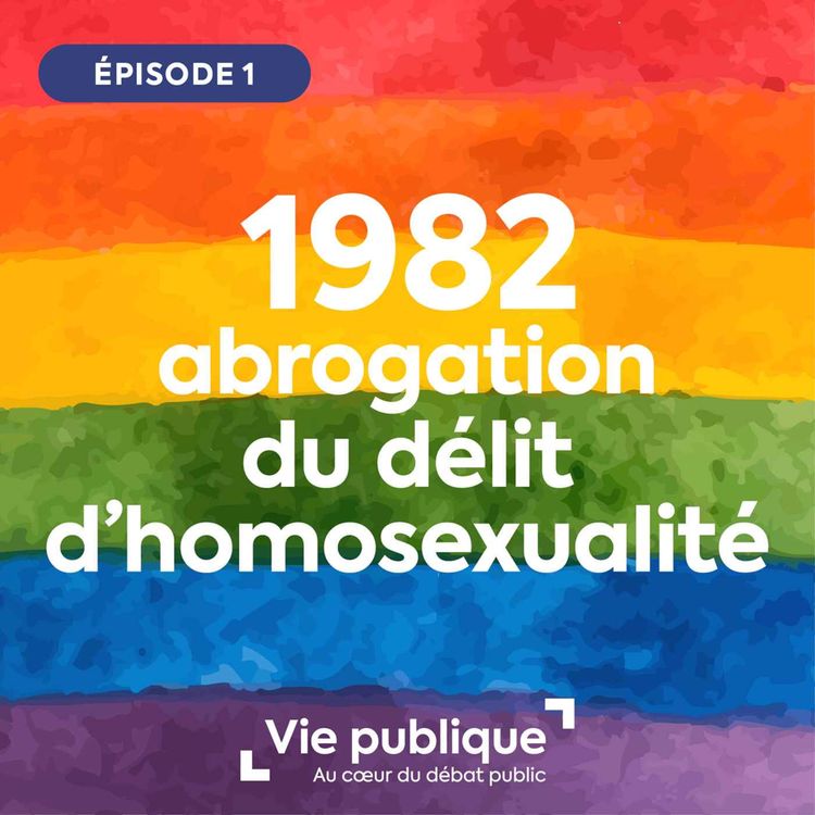 cover art for (1/2) Dépénalisation de l'homosexualité : le vote de la loi