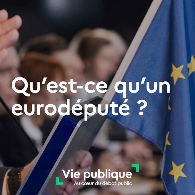 cover art for (2/2) Qu'est-ce qu'un eurodéputé ?