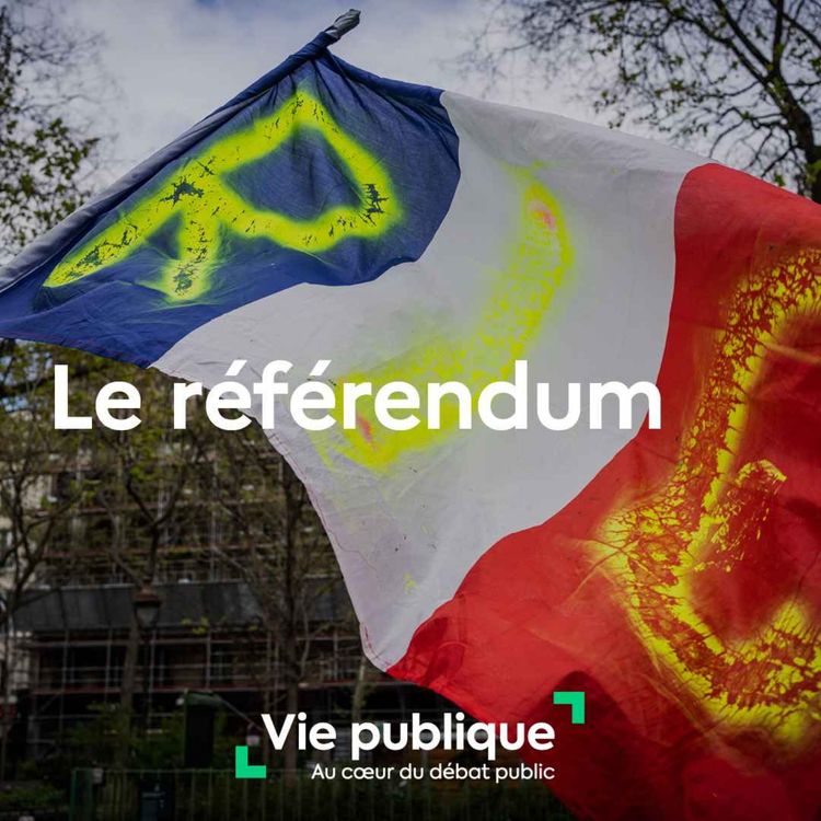 cover art for (2/3) Le référendum sous la Ve République : histoire, modalités et usage