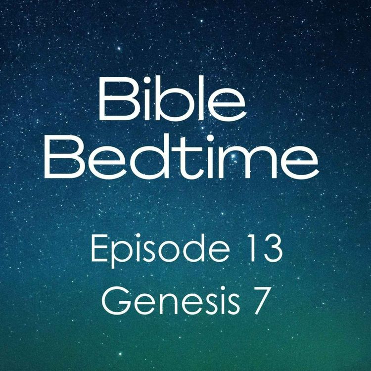 cover art for Episode 13: Genesis 7