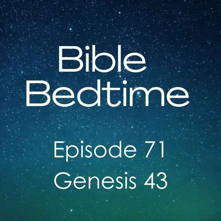 cover art for Episode 71: Genesis 43