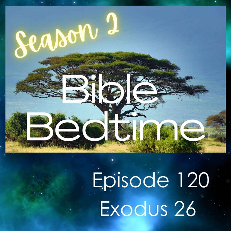 cover art for Ex 26: The Curtains