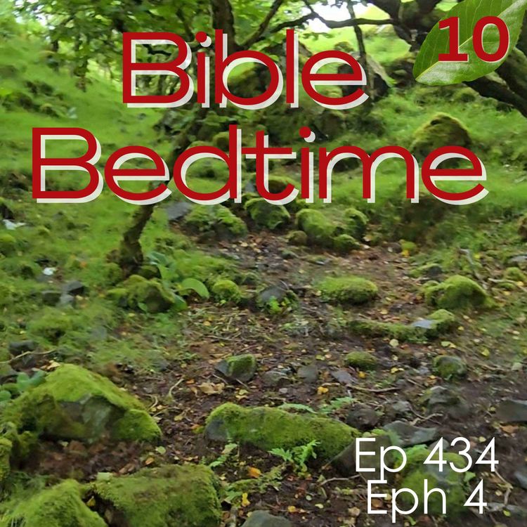 cover art for Eph 4: One Lord