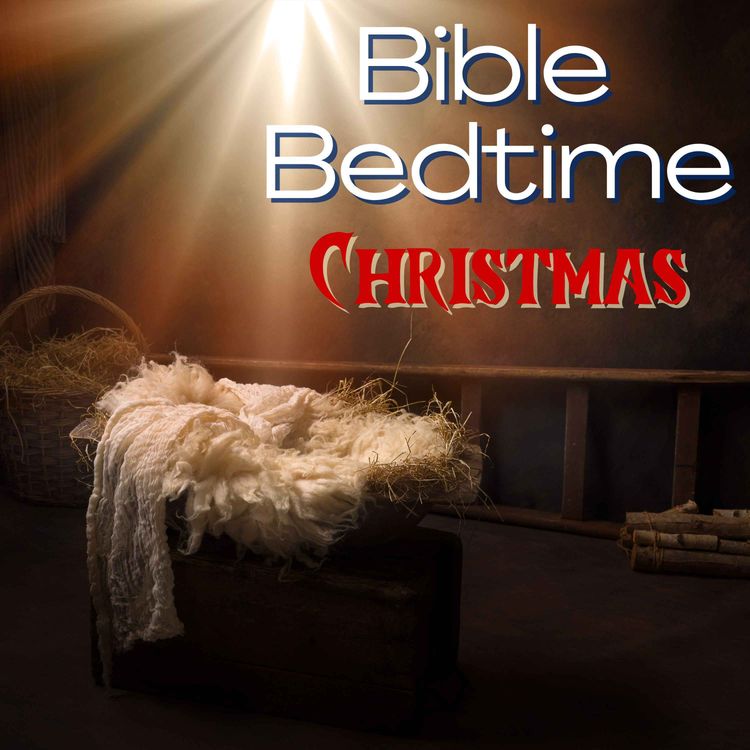 cover art for BONUS - Merry Christmas