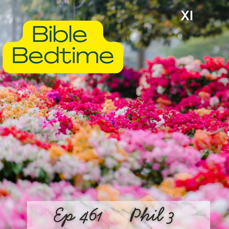 cover art for Ph 3: In Christ Alone