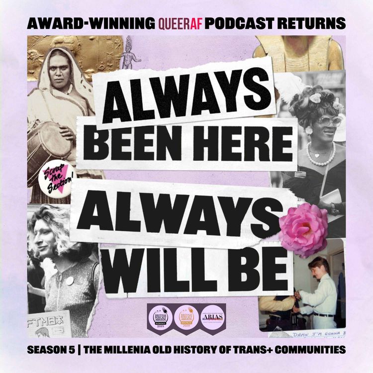 cover art for Season 5 | Trans+ History Lesson You Never Had
