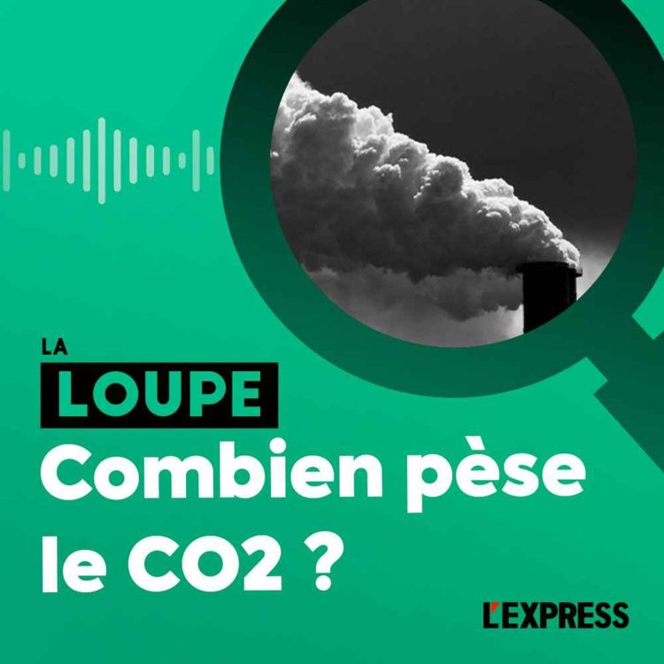 cover art for Combien pèse le CO2 ?