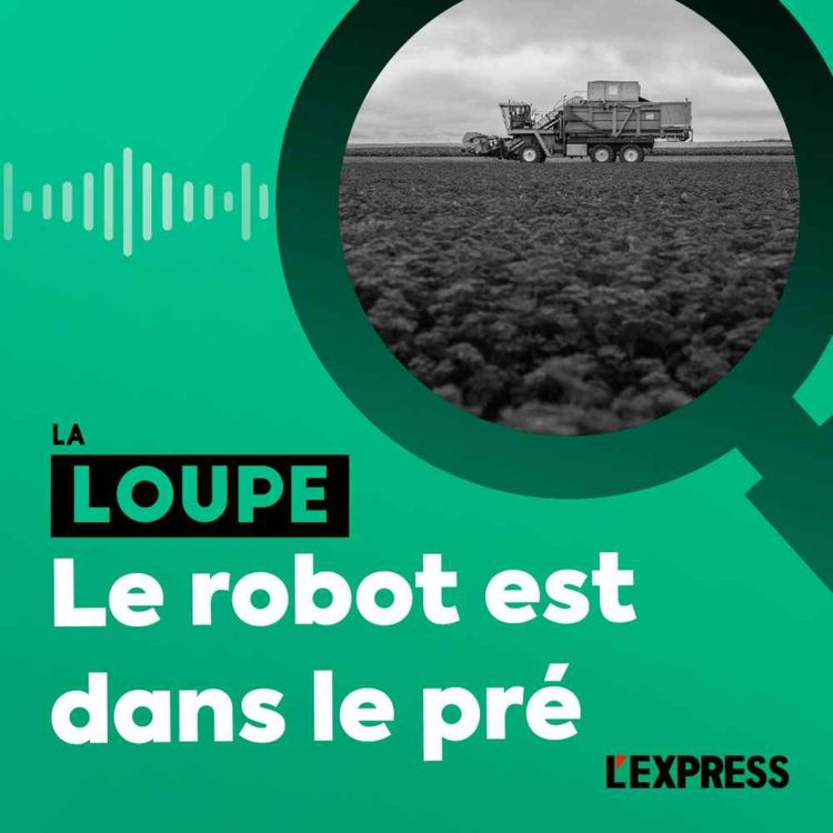 cover art for Le robot est dans le pré