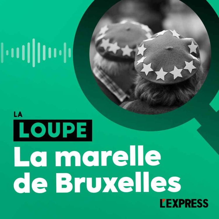 cover art for La marelle de Bruxelles (1/2)